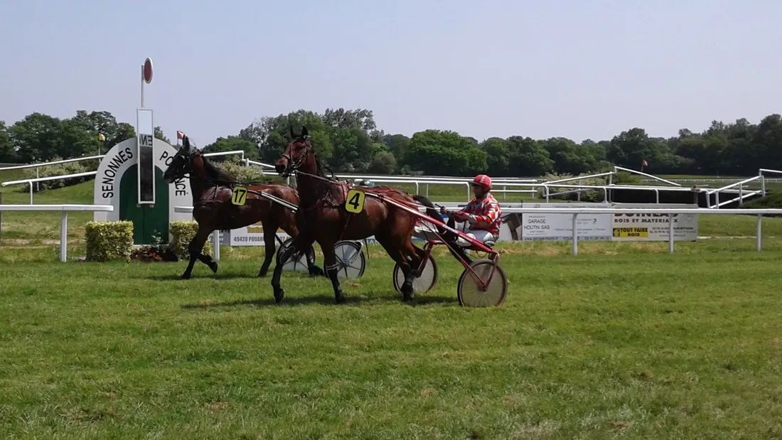 Hippodrome Senonnes-Trot